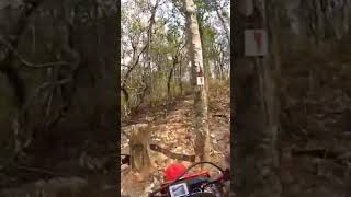 CRF450 Vs XR250 trail dirtbike adventure enduro offroad hardenduro motocross [upl. by Synn]