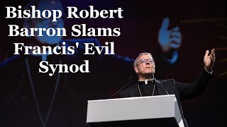 Bishop Barron SLAMS Francis Evil Synod [upl. by Aver254]