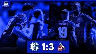 FC Schalke 04  1 FC Köln 13  Tore amp Highlights  Stadion Reaktion [upl. by Shaper]