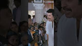 Watch 👆 Cobra Movie Scenes cobra mammootty lal padmapriya kaniha salimkumar siddique shorts [upl. by Lleksah267]