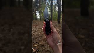 Firebird FH925 💥💥💥 foldingknife everdaycarry edcknife pocketknife everydaycarry365 blade [upl. by Oicaro]