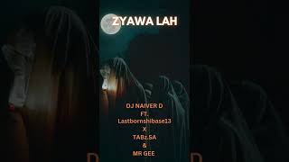 DJ Naiver D FT Lastbornshibase13 x TABzSA amp MR GEE ZYAWA LAH🔥🔥 [upl. by Brodsky653]