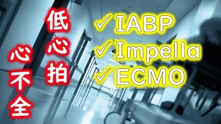 【心不全】低拍出性心不全、ショック、循環器内科 low output heart failure IABP Impella ECMO [upl. by Suivatnom]