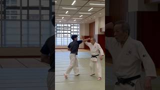 Aikido’s against punches techniques Please check full video aikido martialarts 合気道 karate [upl. by Kirby]