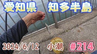 【愛知県釣り】2024612 知多半島 鱚釣り＃214 [upl. by Gen]