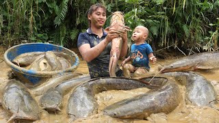 The Easiest and Most Effective Way to Catch Giant Fish in the Mud With a Single Mom [upl. by Llebiram790]