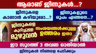 ആരാണ് ജിന്നുകൾ ജിന്നുകളുടെ രൂപം എങ്ങനെ ജിന്നുകളെ കാണാൻ കഴിയുമോ Shafeek Badri kadakkal [upl. by Aketal414]