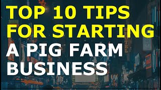 How to Start a Pig Farm Business  Free Pig Farm Business Plan Template Included [upl. by Buchheim]