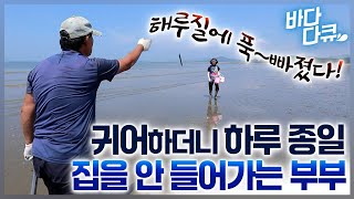 낮에는 뻘에서 개불 잡고 밤에는 해루질로 꽃게 잡고 바다 살이에 푹 빠진 귀어 6년 차 부부의 24시간이 모자라바다다큐 [upl. by Laure]