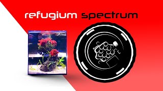 Macro Algae LED Not A Refugium LED  Illumagic Pixel [upl. by Olracnaig]