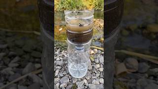 Survival skills amazing dirty water purification filter💦 camping survival bushcraft outdoors [upl. by Quartas]