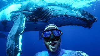 The BEST experience of my Life Freediving with Humpbacks in Tonga [upl. by Soloma941]