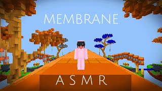 Hive Skywars ASMR But with a MEMBRANE KEYBOARD Skywars [upl. by Anirtak643]