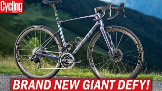 NEW 2024 Giant Defy  One Of The Last True Endurance Road Bikes [upl. by Iba]