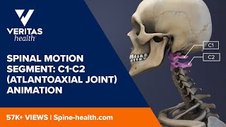 Spinal Motion Segment C1C2 Atlantoaxial Joint Animation [upl. by Ahsienyt]