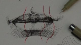 Pen amp Ink Drawing Tutorials  How to draw realistic lips [upl. by Dehsar]