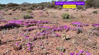 Gold Minnig in Kalgoorlie [upl. by Earlie]