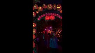 Walk through thousands of glowing jackolanterns at this event at the Cincinnati Zoo [upl. by Lundeen817]