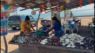 Yavaros tierra del Mariscos fresco y buenos Pescadores [upl. by Zetnwahs]