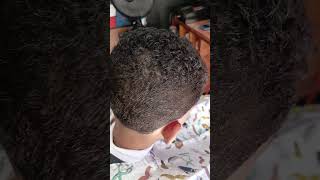 barbershop barber degrader degrade cabelo [upl. by Atteinotna]