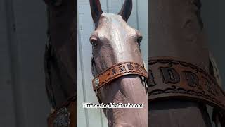 Horse halter with name tooled on leather noseband horseriding horsetack halter [upl. by Ayotak306]