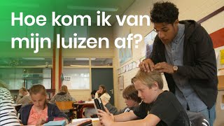 Wat kan ik tegen hoofdluis doen [upl. by Lati]