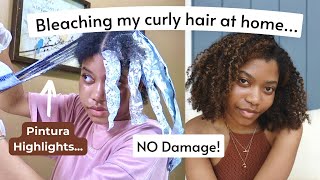 I Bleached My Hair… Oops  HOW TO HIGHLIGHT CURLY HAIR AT HOME WITH NO DAMAGE Pintura Method [upl. by Lenette952]