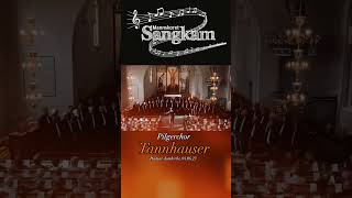 Pilgrims Chorus «Tannhauser» Male voice Choir SangKam  Hamar domkirke june 4 2023 music choir [upl. by Bev]