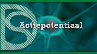 Examen biologie  Actiepotentiaal Zenuwstelsel en spieren [upl. by Nagaem]