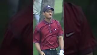 Tiger Woods at his best 🔥🔥🔥 [upl. by Vyse656]