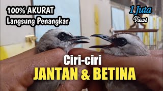 Perbedaan Trucukan JANTAN dan BETINA Sangat AKURAT [upl. by Lyj]