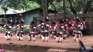 This is Swaziland Traditional Swazi dance [upl. by Terrab875]