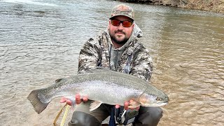 Huge 9 pound 275 inch trout from Blue Springs Pickle’s bottom [upl. by Corenda339]