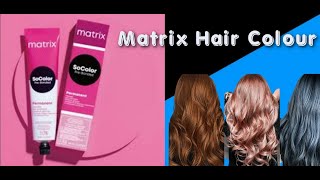 Your Quick Guide to Dyeing a Hair System  Lordhair Mens Hairpieces [upl. by Hersh967]