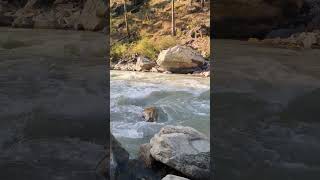 Kasol  Himachal Pradesh song arijitsingh music love travel himachal youtube youtubeshorts [upl. by Jamnis924]