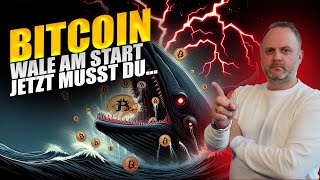 Bitcoin News BTC Preis in Gefahr Wale erwachen – was nun [upl. by Atalayah]