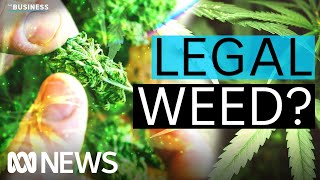 When will marijuana be legalised for adult use in Australia  The Business  ABC News [upl. by Jerrome]