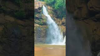 Ellewala Ella Waterfall  ඇල්ලෙවල ඇල්ල 😁🏞️🌻youtubeshorts [upl. by Dnalyar]