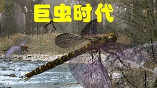 石炭纪：“巨虫时代”｜植物大繁盛｜地球简史系列19｜海民大叔 [upl. by Giovanna]