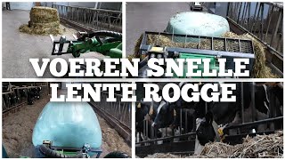 Voeren van de SNELLE LENTE ROGGE  Boer Gerrit vlogt [upl. by Samella]