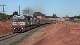 The Long Distance Trains Of The Trans Australian Railway [upl. by Frasquito495]