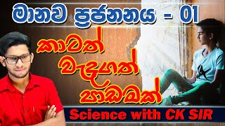 මානව ප්‍රජනනය ආරම්භය  grade 10  science  විද්‍යාව  10 ශ්‍රේණිය  lesson 14 day 01 CK science [upl. by Enelyak]