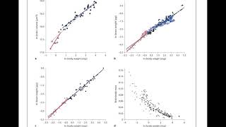 The Allometry of brain miniaturization in ants [upl. by Obnukotalo]