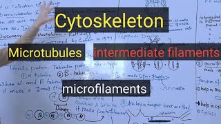 Cytoskeletonmicrotubulesmicrofilamentsintermediate filamentspashto detail lectures [upl. by Anilem854]