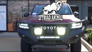 Offroad Animal Toro Bar Installation for a Toyota 300 Series LandCruiser [upl. by Yzzik]