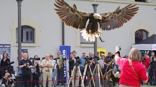 Internationale Naturfototage im Veranstaltungsforum Fürstenfeld [upl. by Evatsug]