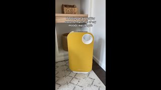 An Air Purifier to Match All Moods [upl. by Annauqahs720]