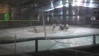 Extreme Robots Maidstone 2024 ThunderChild Vs Hades Vs Stinger Vs Audacious [upl. by Kareem]