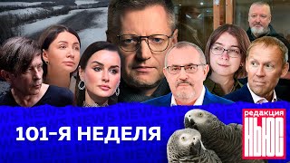 Редакция News 101я неделя [upl. by Akerdna119]