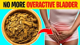 5 BEST Remedies For An Overactive Bladder [upl. by Virg]